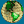 small globe icon