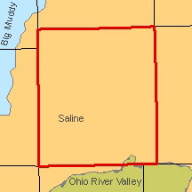 Zoom of Saline county